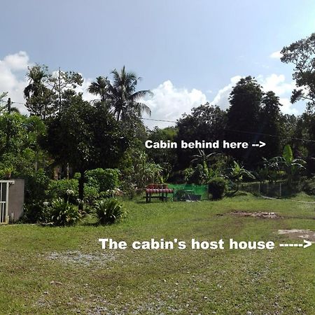 The Forest Cabin Bed and Breakfast Taiping Buitenkant foto