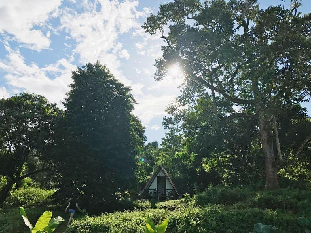 The Forest Cabin Bed and Breakfast Taiping Buitenkant foto